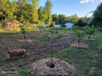 5720 Chambers Road, FremontTownship_Tuscola, MI 48744