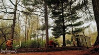 5720 Chambers Road, FremontTownship_Tuscola, MI 48744