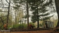 5720 Chambers Road, FremontTownship_Tuscola, MI 48744