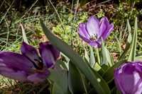 1368 Bluewater Rd, Rockingham, VA 22801