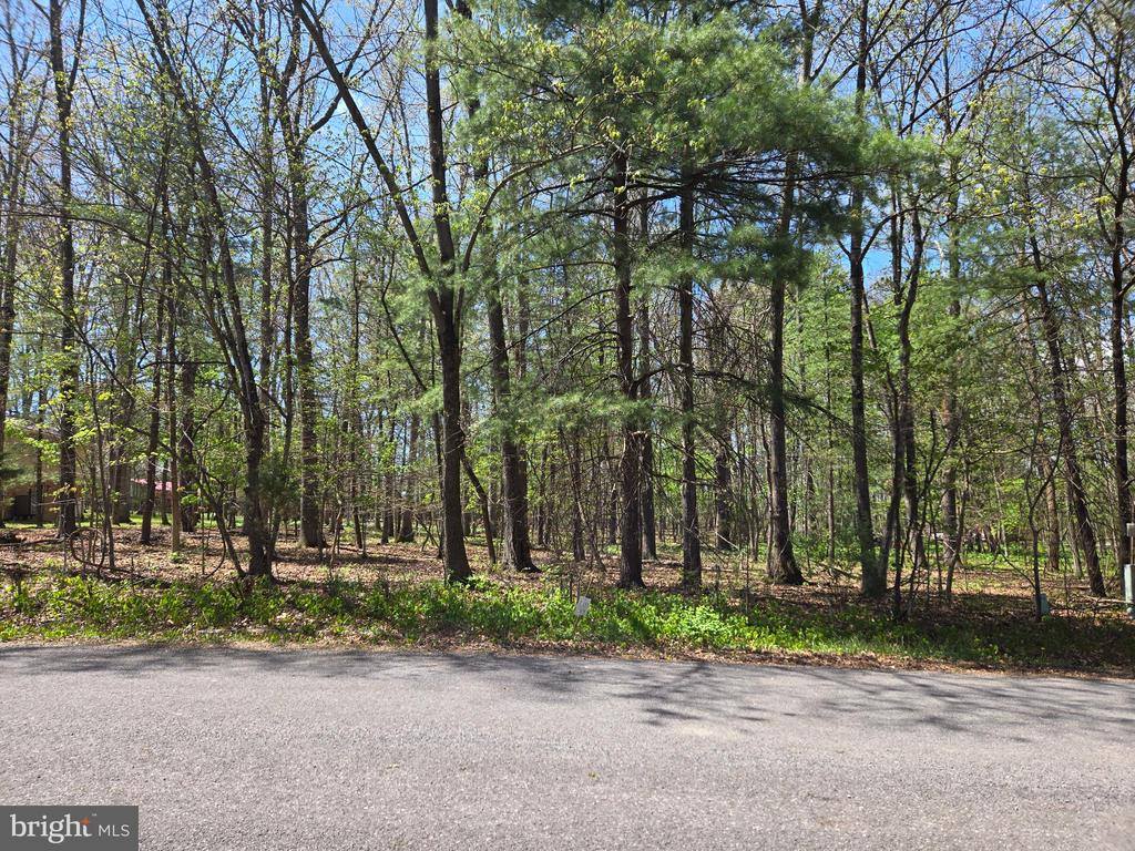 Warden Circle Road, Wardensville, WV 26851