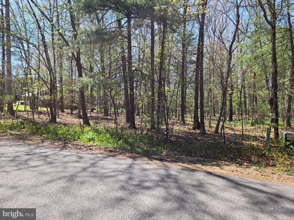 Warden Circle Road, Wardensville, WV 26851