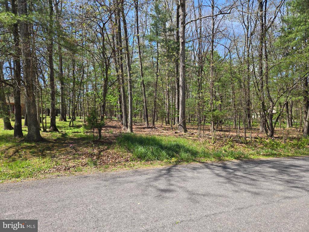 Warden Circle Road, Wardensville, WV 26851
