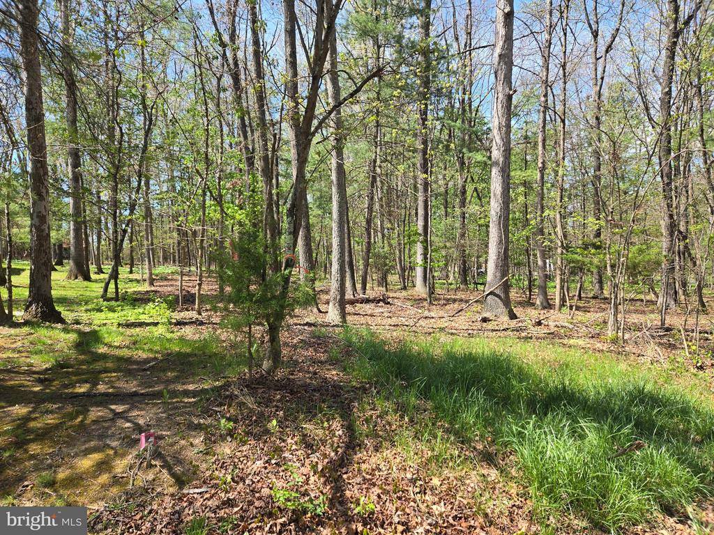 Warden Circle Road, Wardensville, WV 26851