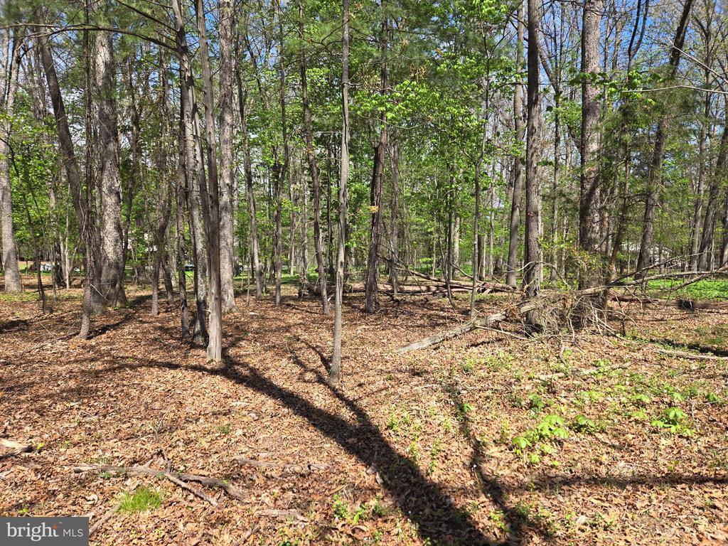 Warden Circle Road, Wardensville, WV 26851