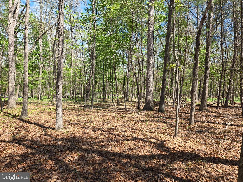 Warden Circle Road, Wardensville, WV 26851