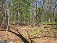 Warden Circle Road, Wardensville, WV 26851