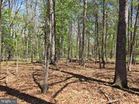 Warden Circle Road, Wardensville, WV 26851