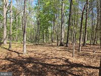 Warden Circle Road, Wardensville, WV 26851