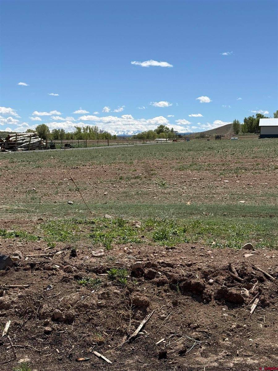 TBD Jig Road, Montrose, CO 81403