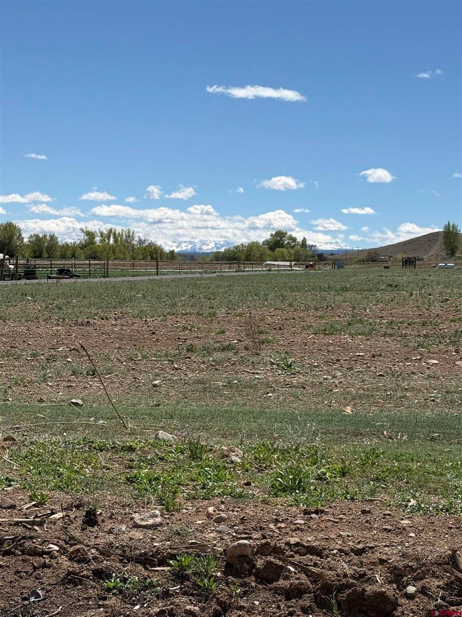 TBD Jig Road, Montrose, CO 81403