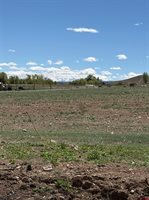 TBD Jig Road, Montrose, CO 81403