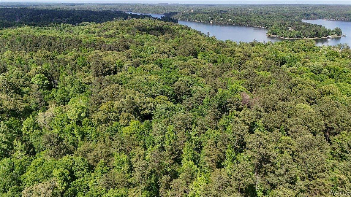 13509 Rice Point Lane, Northport, AL 35473