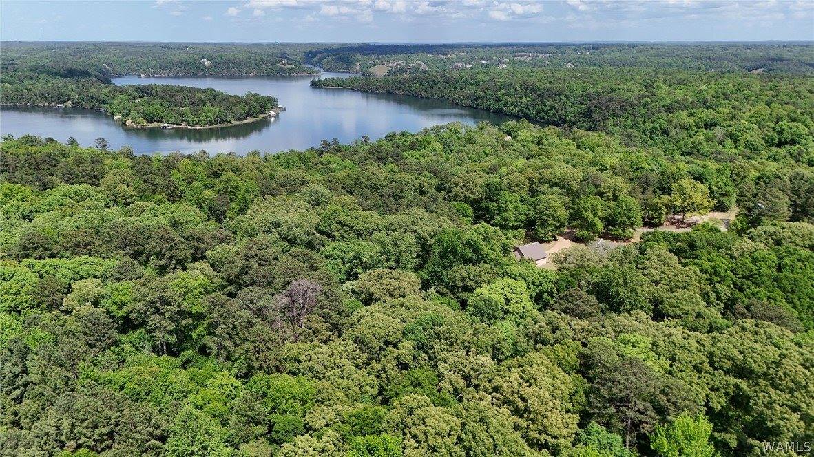 13509 Rice Point Lane, Northport, AL 35473