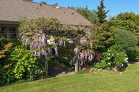 4404 Landmark DR, Mount Vernon, WA 98274