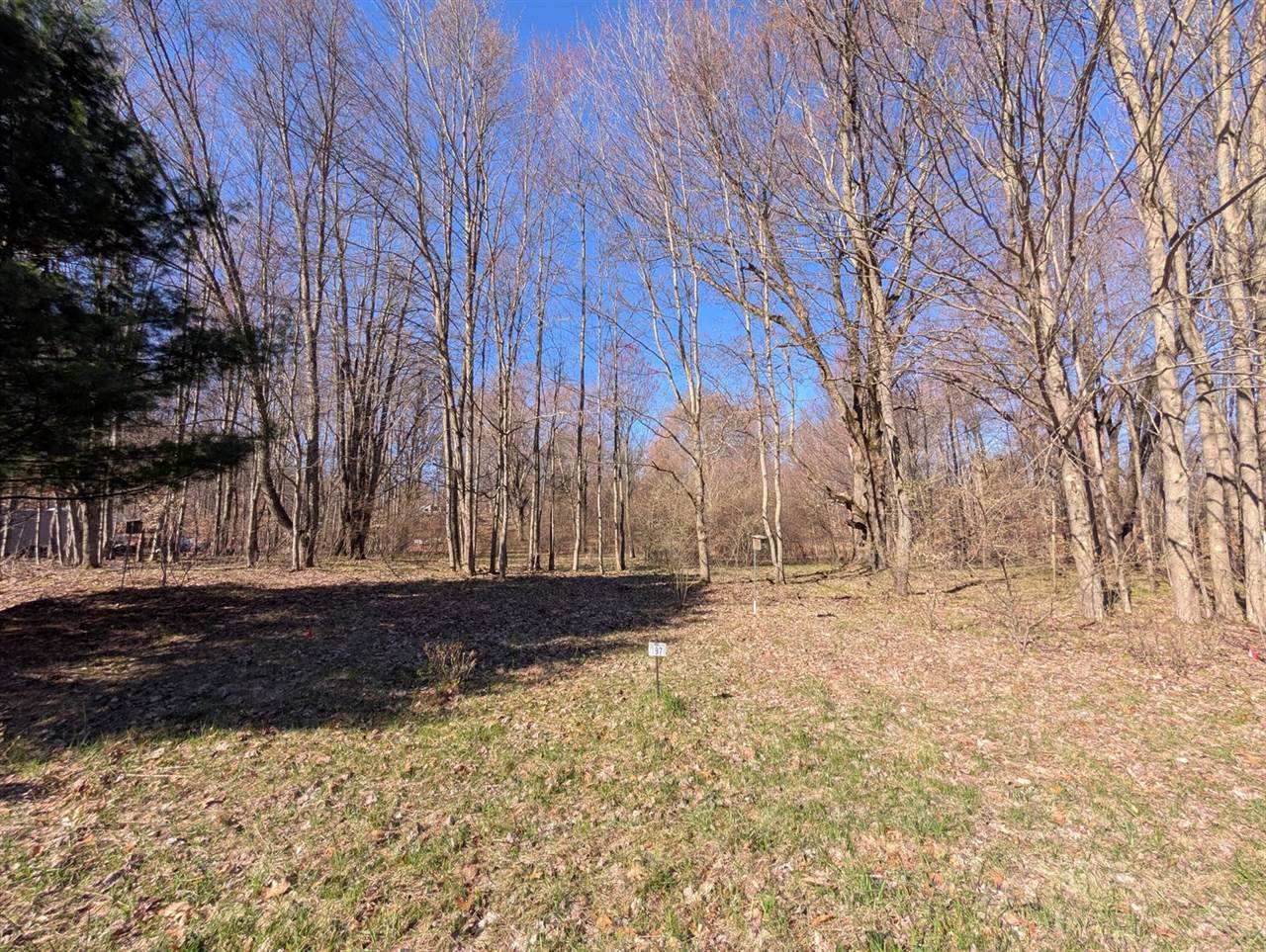6465 Fox Den, EdenTownship_Mason, MI 49405