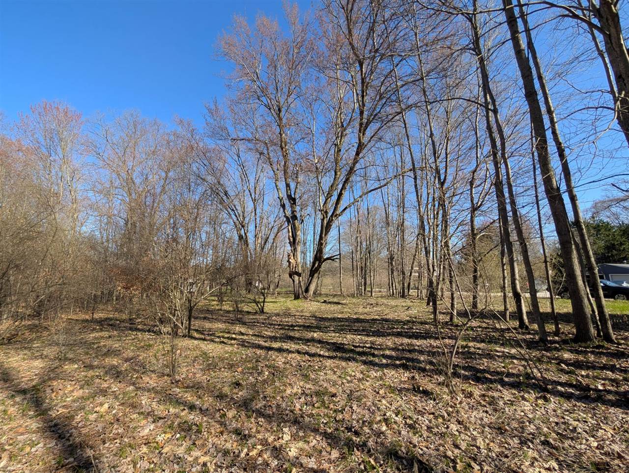 6465 Fox Den, EdenTownship_Mason, MI 49405