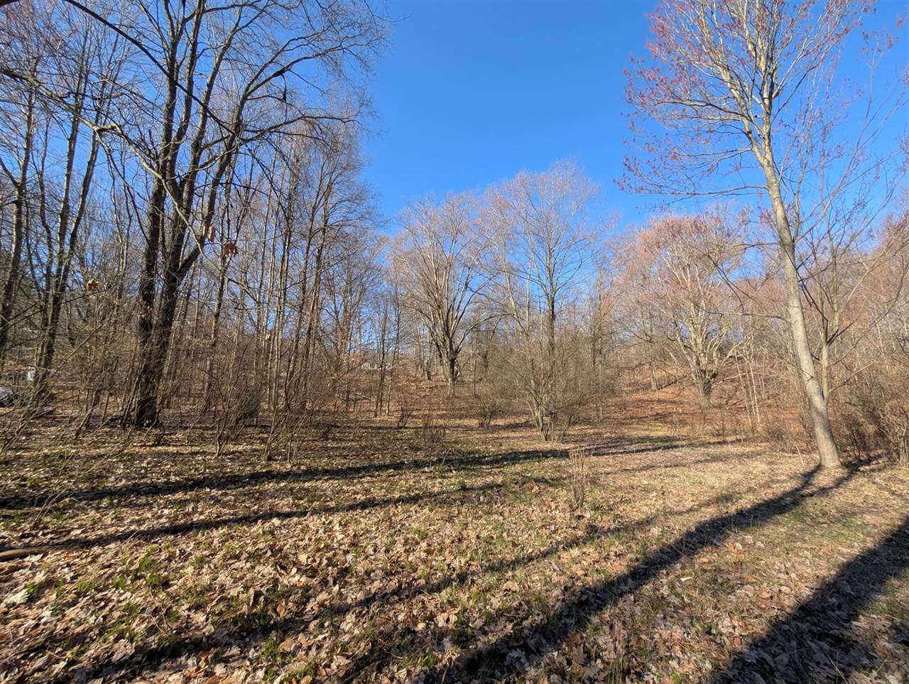 6465 Fox Den, EdenTownship_Mason, MI 49405
