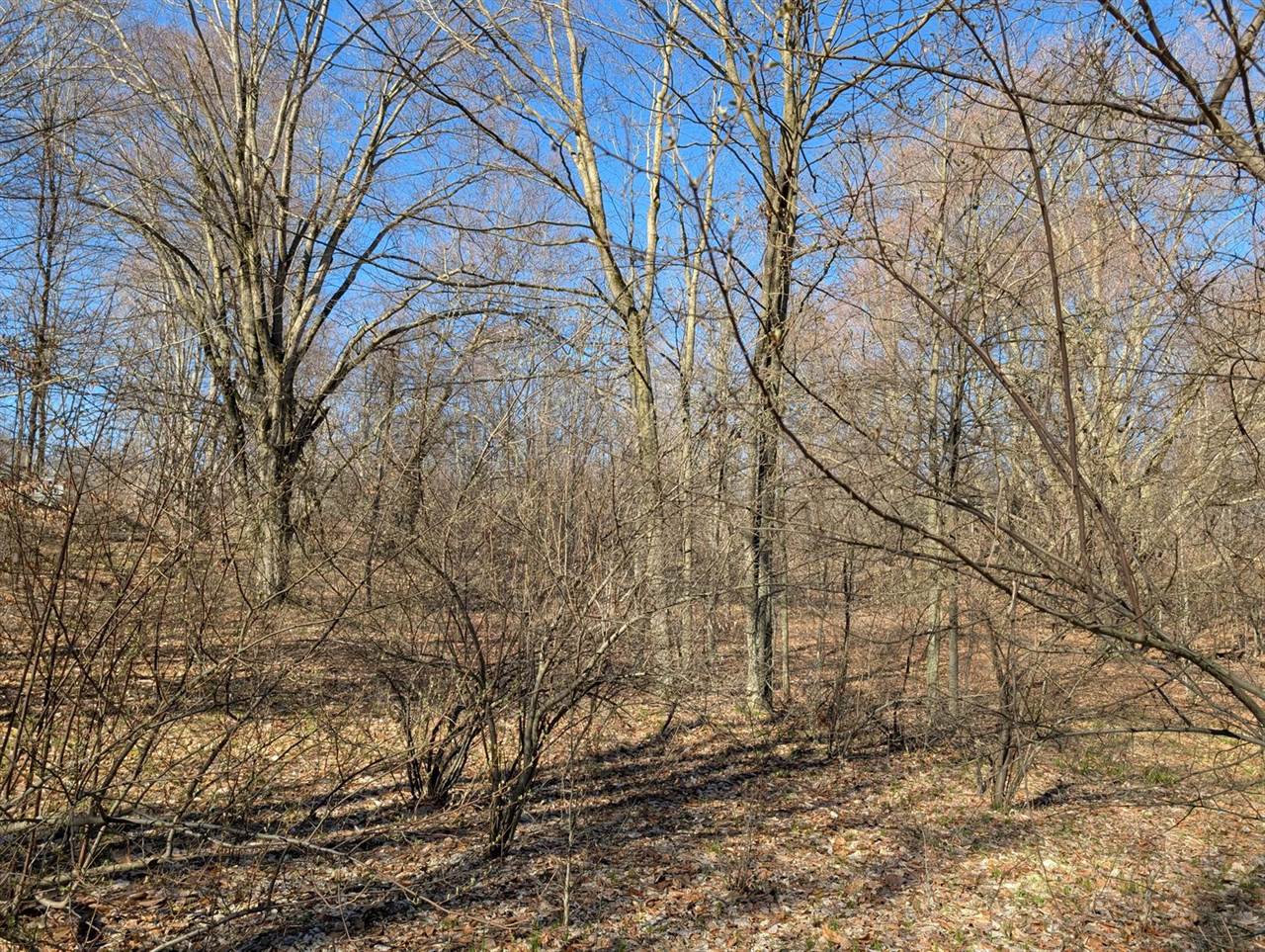 6465 Fox Den, EdenTownship_Mason, MI 49405
