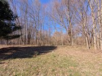 6465 Fox Den, EdenTownship_Mason, MI 49405