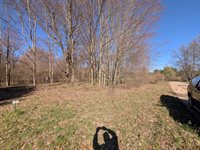6465 Fox Den, EdenTownship_Mason, MI 49405