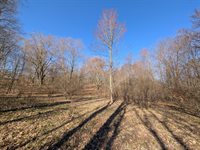 6465 Fox Den, EdenTownship_Mason, MI 49405