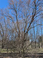 6465 Fox Den, EdenTownship_Mason, MI 49405