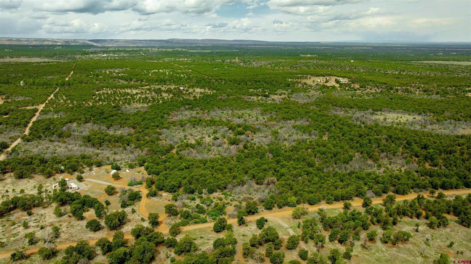 850 Canyon Ridge Road, Montrose, CO 81403