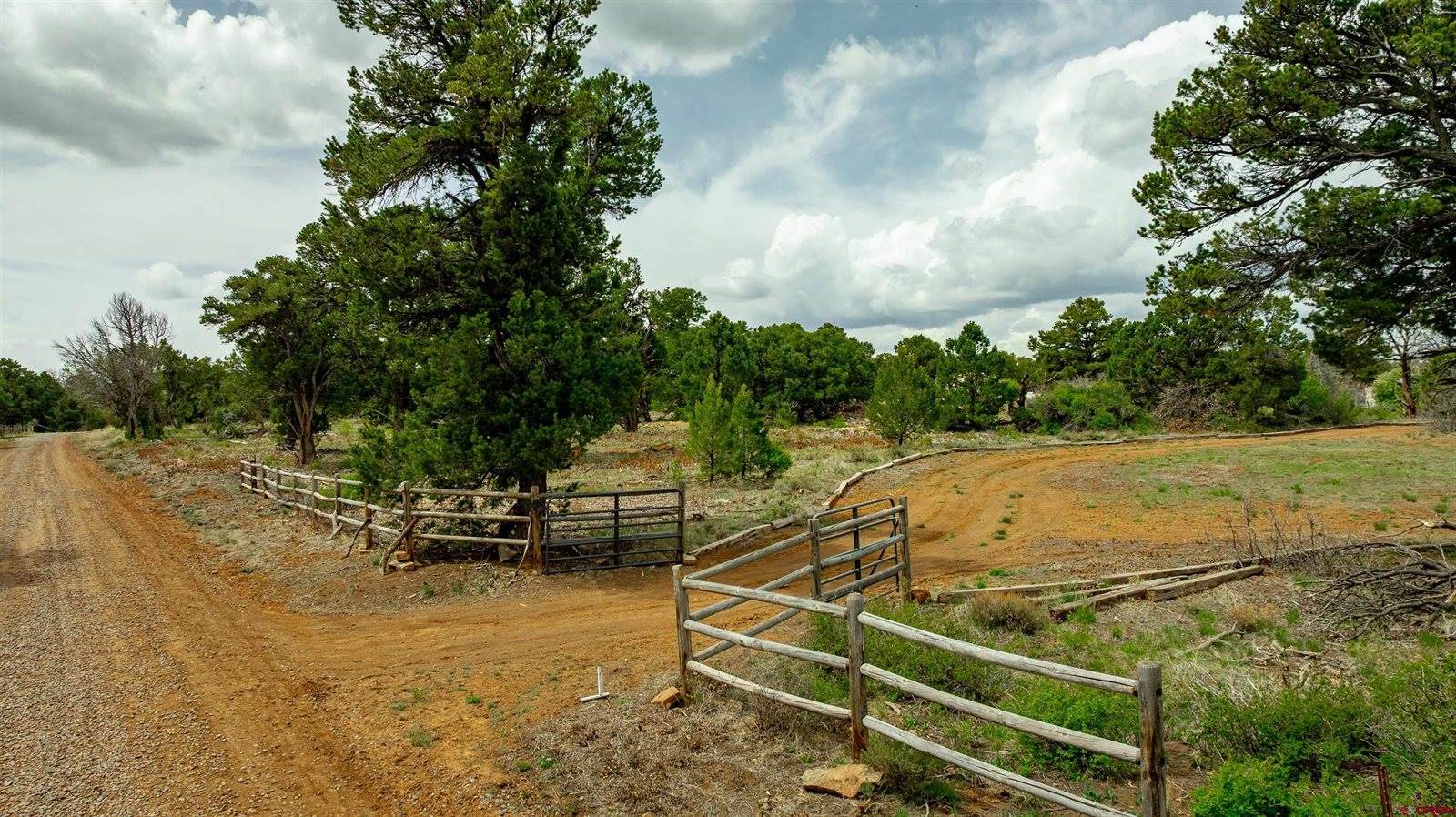 850 Canyon Ridge Road, Montrose, CO 81403