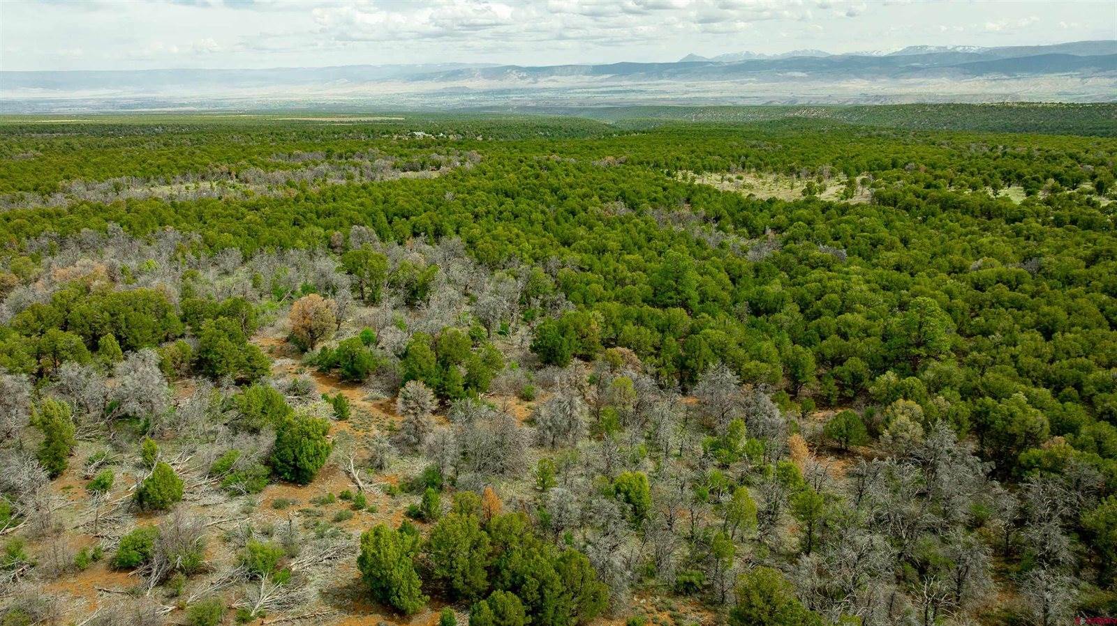 850 Canyon Ridge Road, Montrose, CO 81403