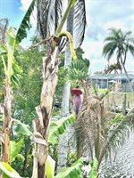 141 NE Sagamore Terrace, Port Saint Lucie, FL 34983