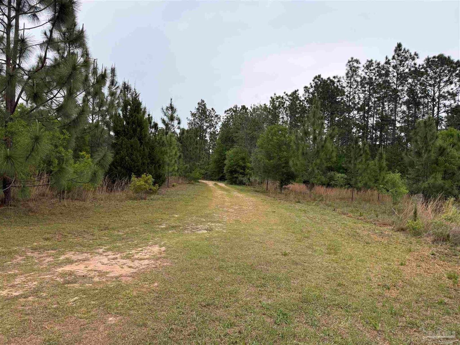 11307 Boundary Line Rd, Milton, FL 32583