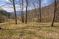 1511 Water Wheel Cove, Clyde, NC 28721