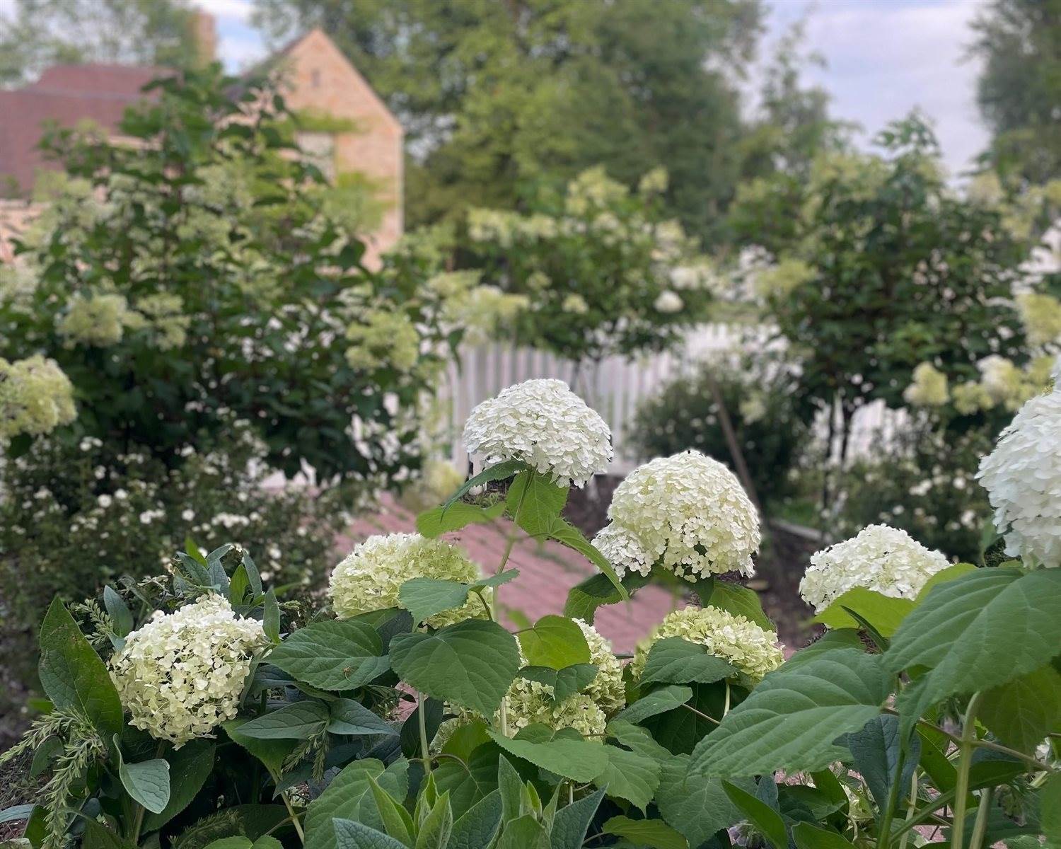 512 Hardacre Avenue, Marshfield, WI 54449