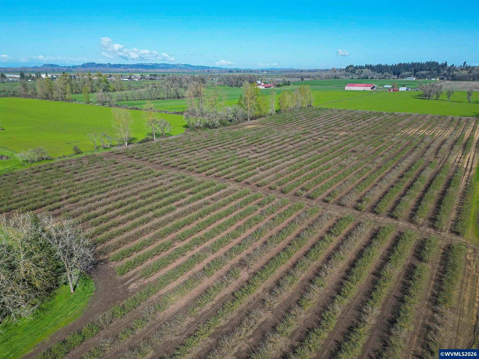 38565 Robinson Dr, Scio, OR 97374