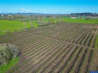 38565 Robinson Dr, Scio, OR 97374