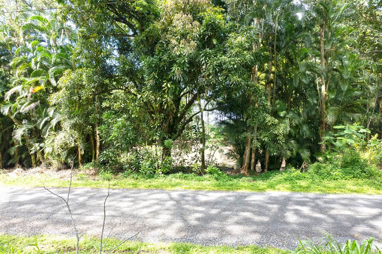 11th Ave, Keaau, HI 96749