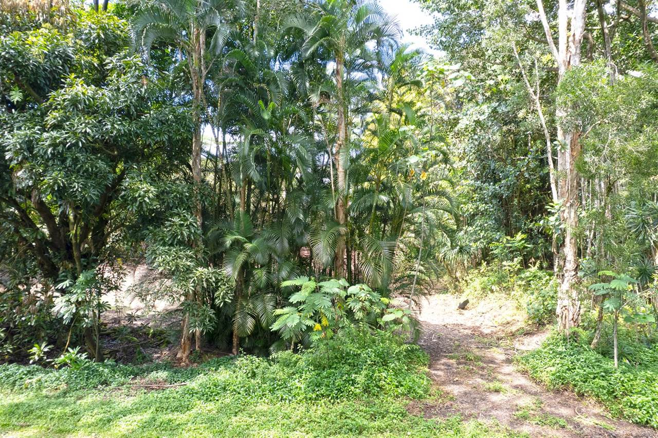 11th Ave, Keaau, HI 96749
