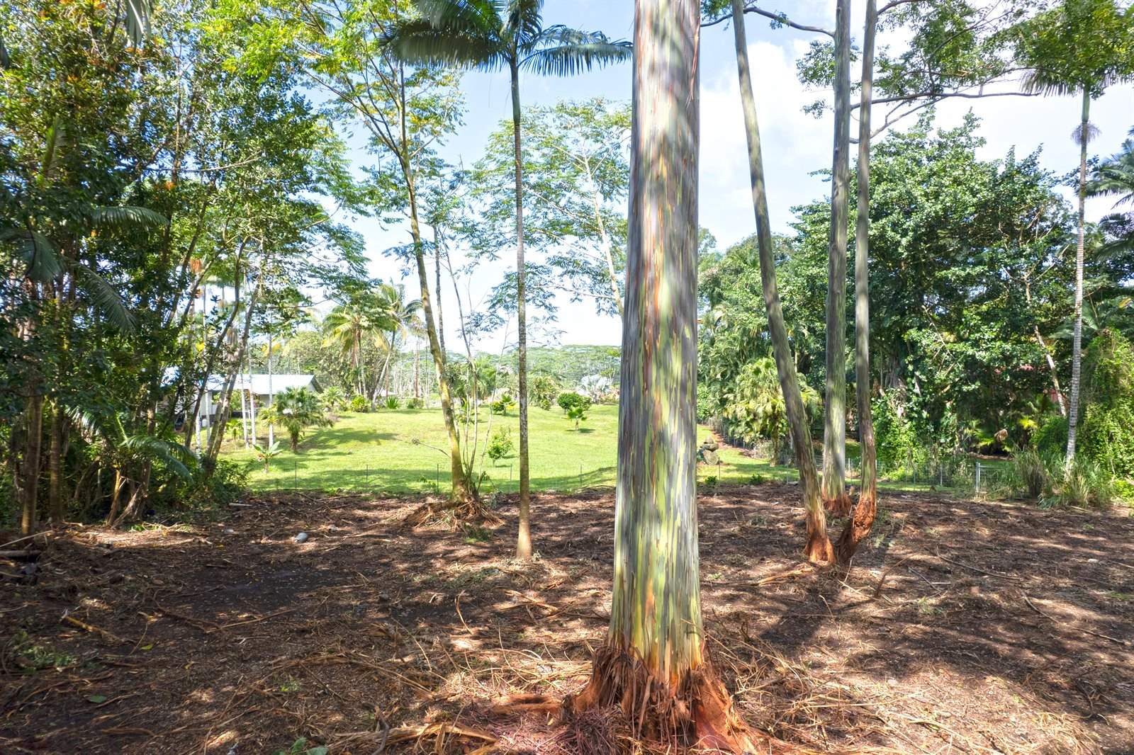 11th Ave, Keaau, HI 96749