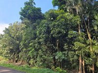 11th Ave, Keaau, HI 96749