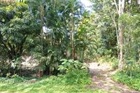 11th Ave, Keaau, HI 96749