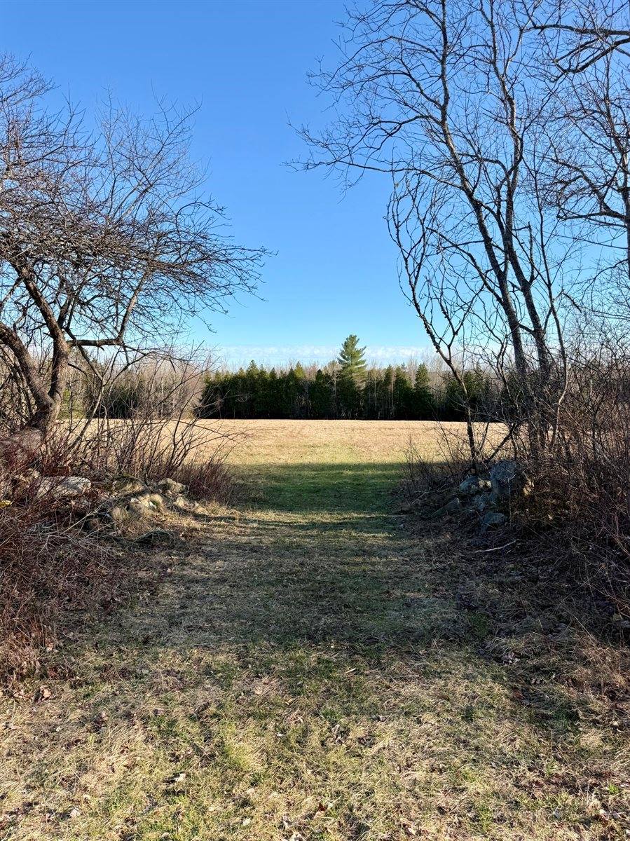Lot # TBD Shaw Hill Road, Hampden, ME 04444