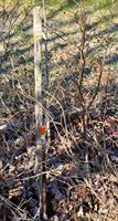 Lot # TBD Shaw Hill Road, Hampden, ME 04444