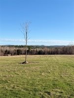 Lot # TBD Shaw Hill Road, Hampden, ME 04444
