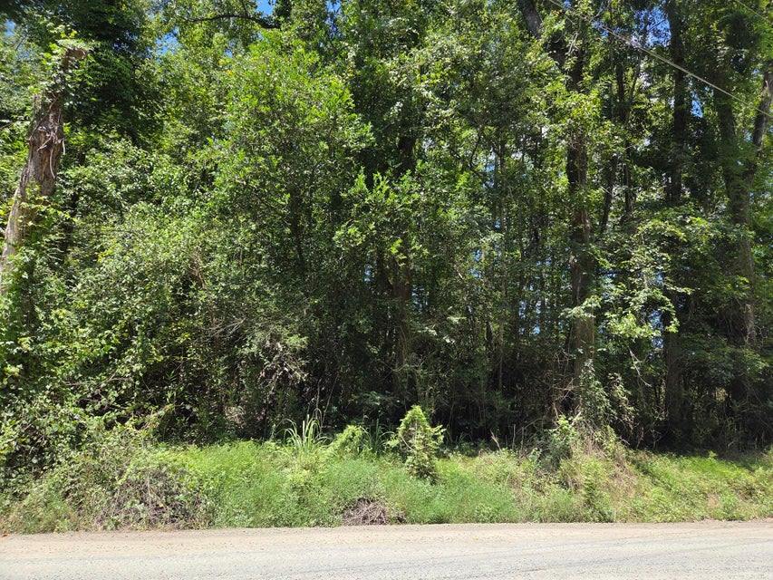 Lot 6 Hill Branch Rd, Ridgeville, SC 29472