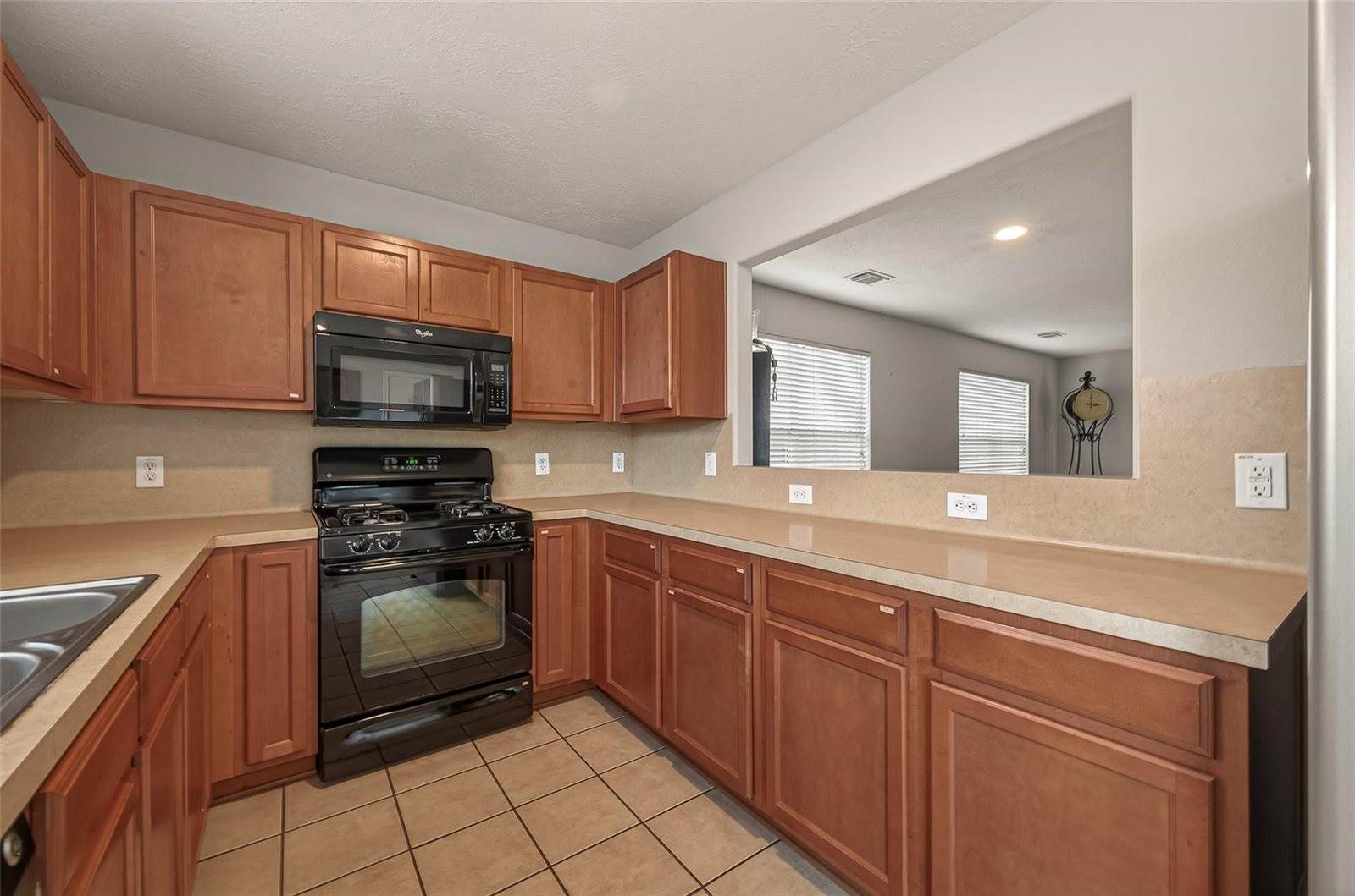 14311 Brunswick Point Lane, Houston, TX 77047