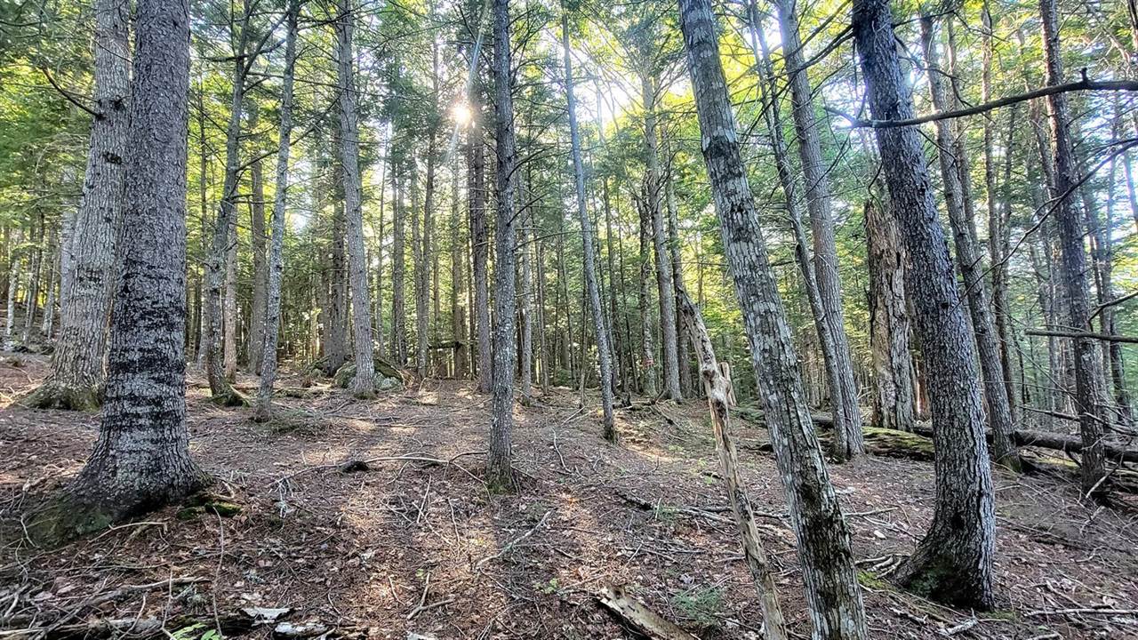 T1R8 WELS Millinocket Lake, Millinocket, ME 04462