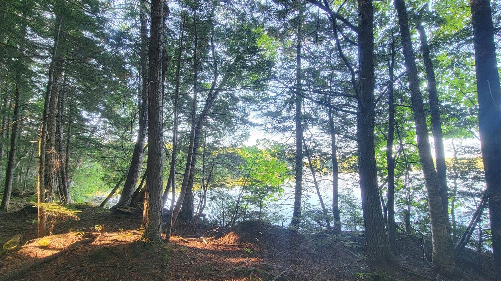 T1R8 WELS Millinocket Lake, Millinocket, ME 04462