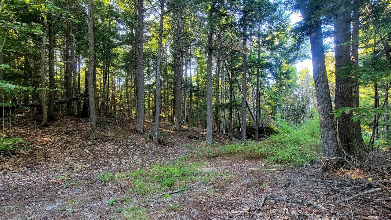T1R8 WELS Millinocket Lake, Millinocket, ME 04462