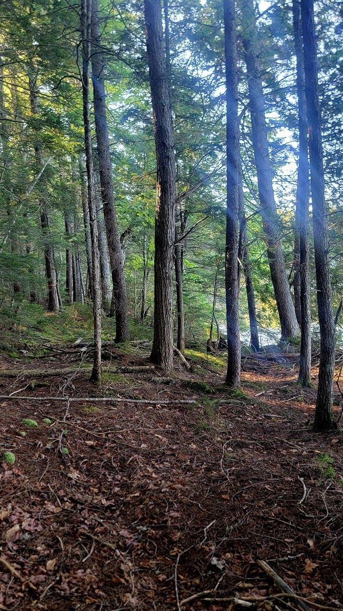 T1R8 WELS Millinocket Lake, Millinocket, ME 04462